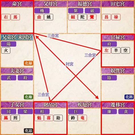 先天運|紫微斗数占い｜あなたの「本質・性格・運命」を完全無料で鑑定 